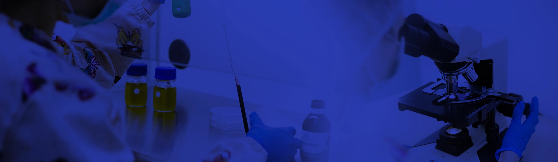 Fiterman Pharma Factory